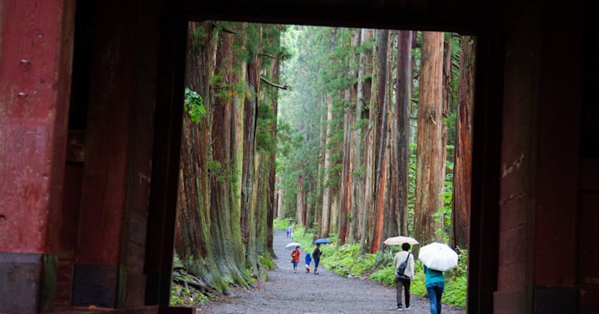 Paklijst voor Japan in juni: wat je écht nodig hebt per klimaatzone