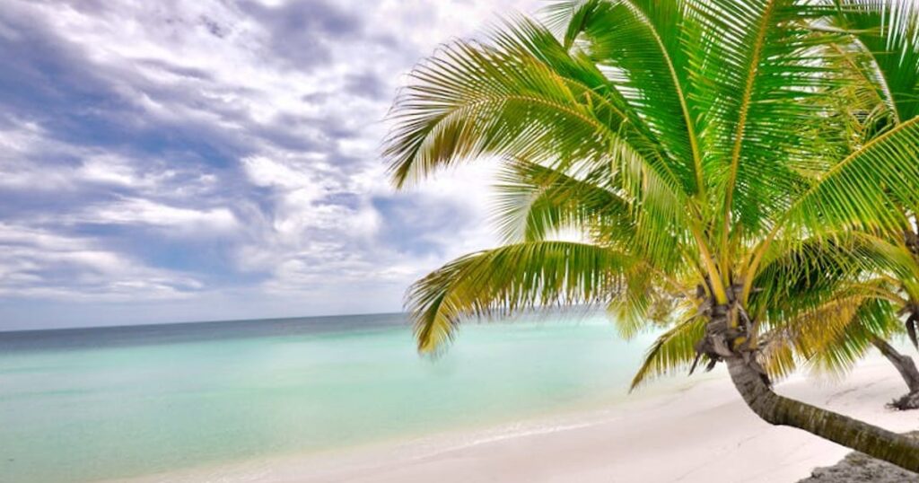 Budgetvriendelijk naar Cuba’s mooiste stranden: échte prijzen en slimme bespaartips