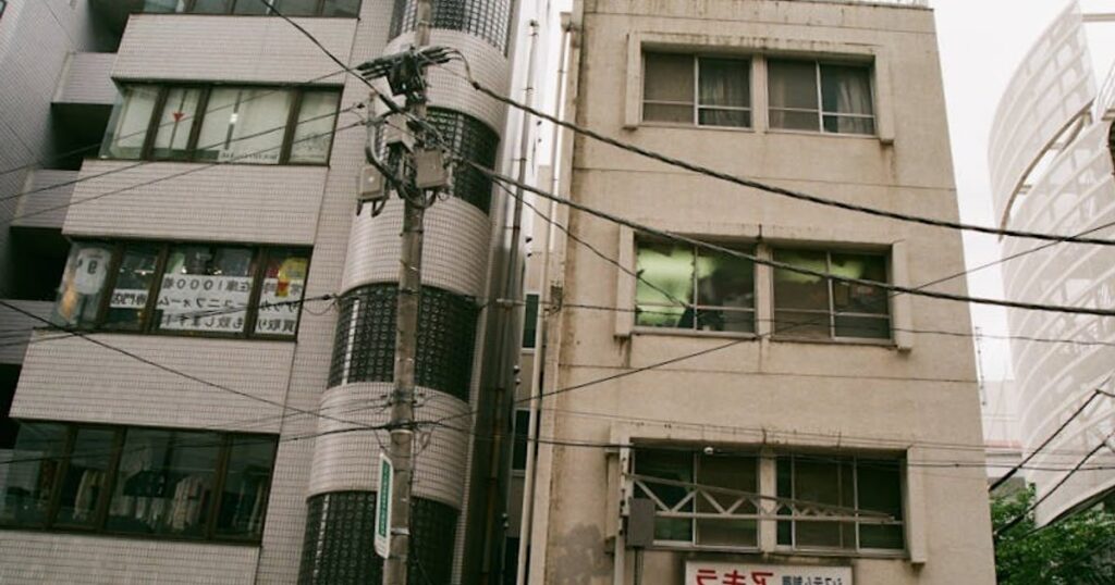 Rustig Tokio ontdekken: geheime sakura-spots, zomerbloemen en herfstkleuren weg van de massa